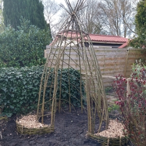 Monica wilgen vlechten